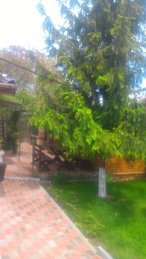 Casa Mola Apartment Mangalia Exterior photo