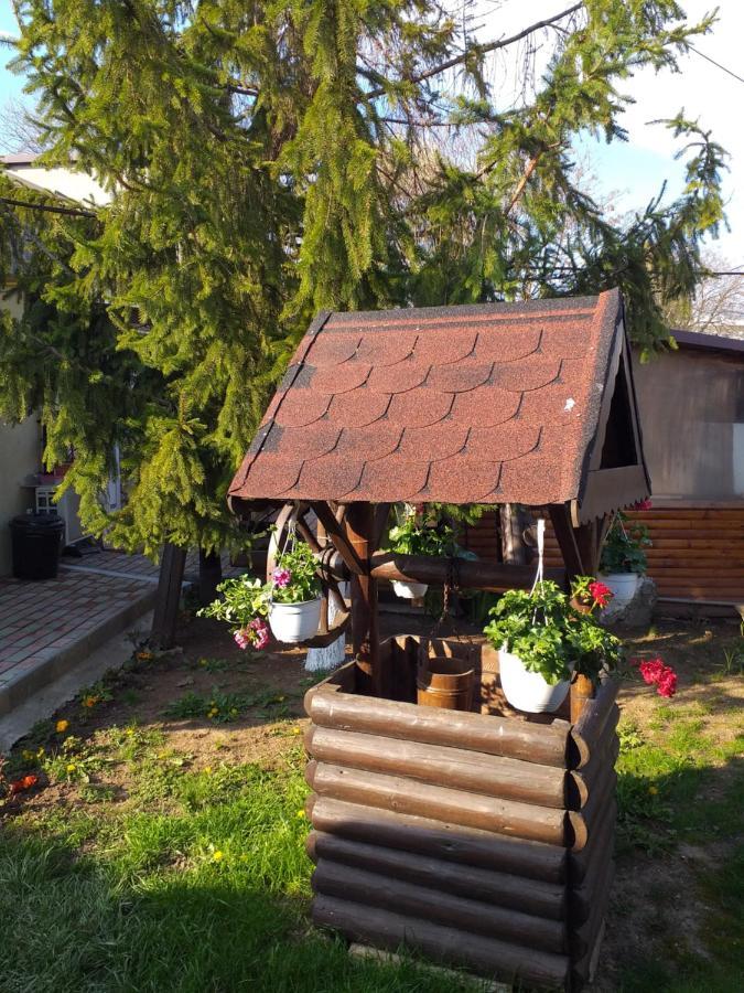 Casa Mola Apartment Mangalia Exterior photo