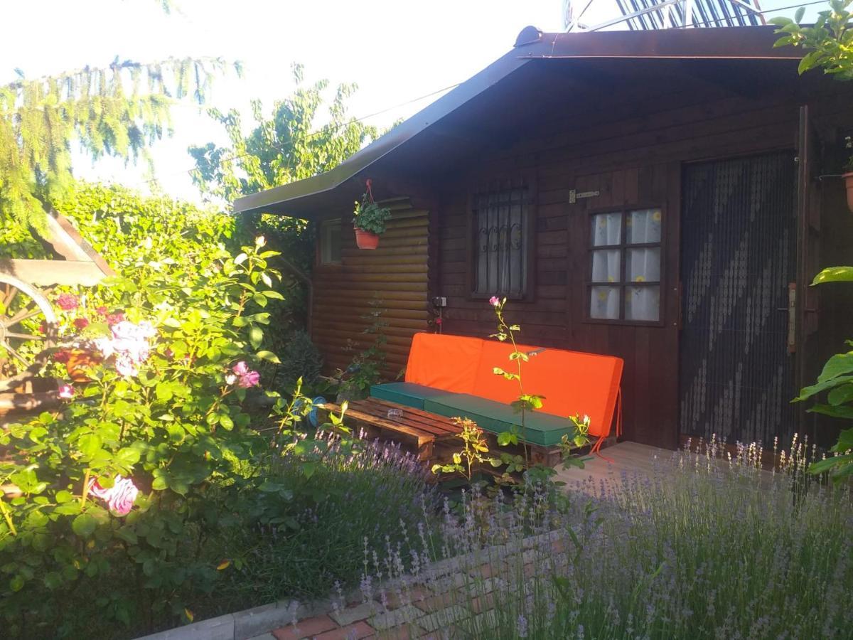 Casa Mola Apartment Mangalia Exterior photo